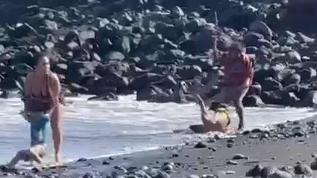 Tourist Viciously Beats Pickpocket With Parasol Pole in Broad Daylight on Los Abrigos Beach in Tenerife While Shocked Families Look On
