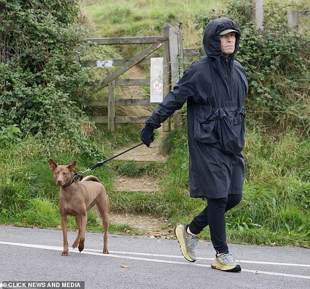 Oasis Frontman Liam Gallagher Spotted Strolling with Rescue Dog in Southwest England Amid Oasis Reunion Controversy and Ticketing Scandal