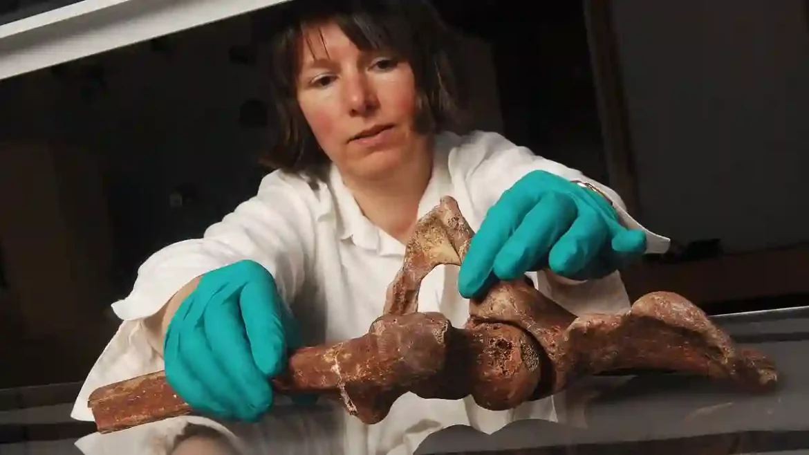 Heritage Group Fights to Repatriate Ancient Warrior Skeleton from Oxford University to Gower, Wales After 200 Years Away