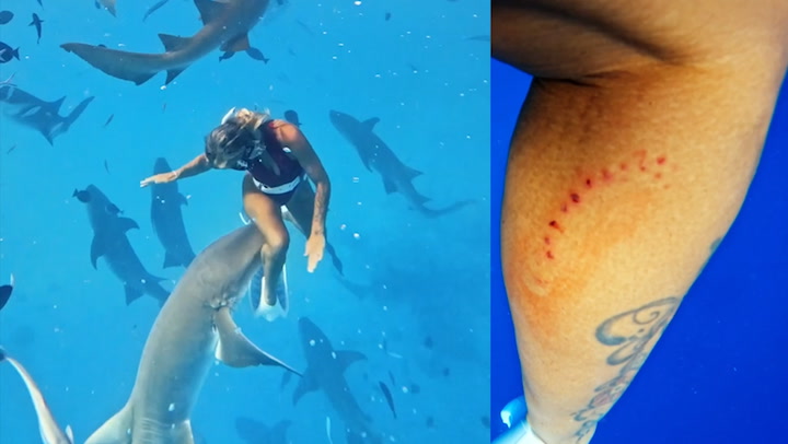 Nurse Shark Mistakes Travel Influencer’s Leg for Fish and Bites Her During Maldives Dive, Lilian Tagliari Shares Her Experience