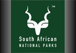 Two suspects arrested for possessing unlicensed firearms and ammunition near Kruger National Park in South Africa