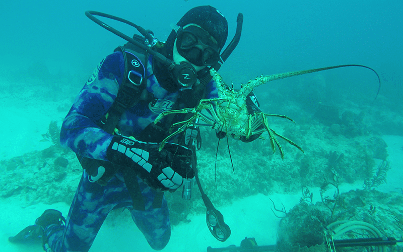 Exploring the Deep: Top Reasons to Book a Scuba Diving Charter in Islamorada