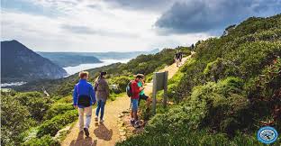 Cape Town Offers Scenic and Beginner-Friendly Hiking Trails to Explore During the Summer Months