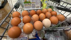 Egg Prices Continue to Surge Across the U.S. as Bird Flu and Supply Shortages Drive Costs Higher in 2025