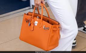 Fashion Fans Reconsider Purchasing Expensive Hermès Bags After Learning About Use of Elephant Skin in Production