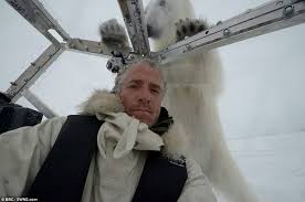 Gordon Buchanan Describes His Terrifying Close Encounter with a Polar Bear in the Arctic Circle