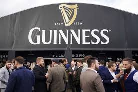 Guinness faces overwhelming demand as Cheltenham Festival punters risk a shortage of their favorite pint