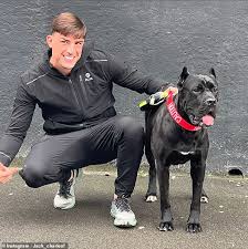 Jack Fincham Pleads Guilty After His Cane Corso Attacks Runner in Swanley Kent