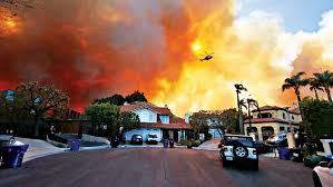 Janell Gruss Battles Wildfires to Evacuate Over 25 Horses and Other Animals from Los Angeles Equestrian Center Amidst Raging Flames