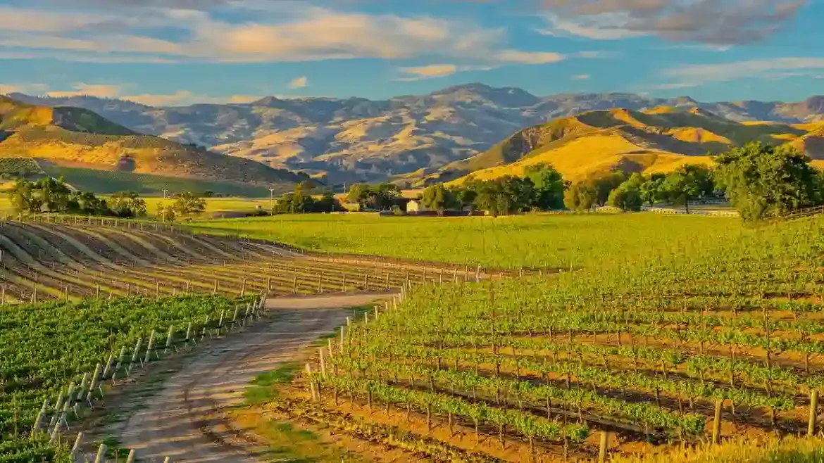 Joe Biden Escapes to Santa Ynez Valley in California for a Relaxing Getaway After Donald Trump’s Inauguration