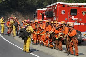 Los Angeles elites hire private firefighters to protect their multi-million-dollar homes amid raging wildfires across the city