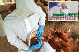 New Bird Flu Case Detected in England as Health Officials Act Quickly to Prevent Spread