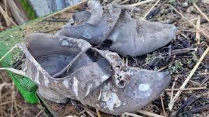 Oxfordshire thatcher discovers pair of centuries-old shoes hidden in the roof of a historic thatched house