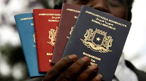 South African Passport Ranks 48th in 2025 Passport Index With 106 Visa-Free Countries Available for Travelers