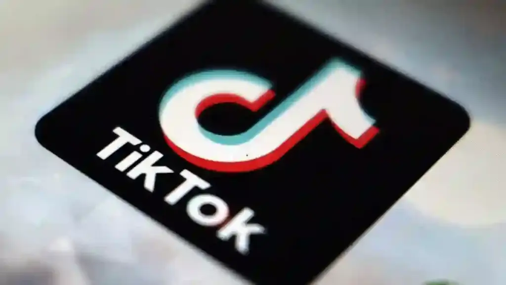 TikTok’s Response to the Ban