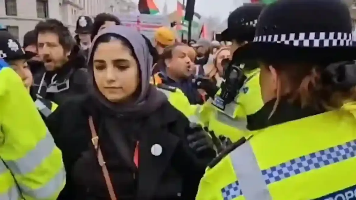 Police officers face accusations of manhandling a woman during tense pro-Palestine protest in central London as arrests soar to unprecedented numbers