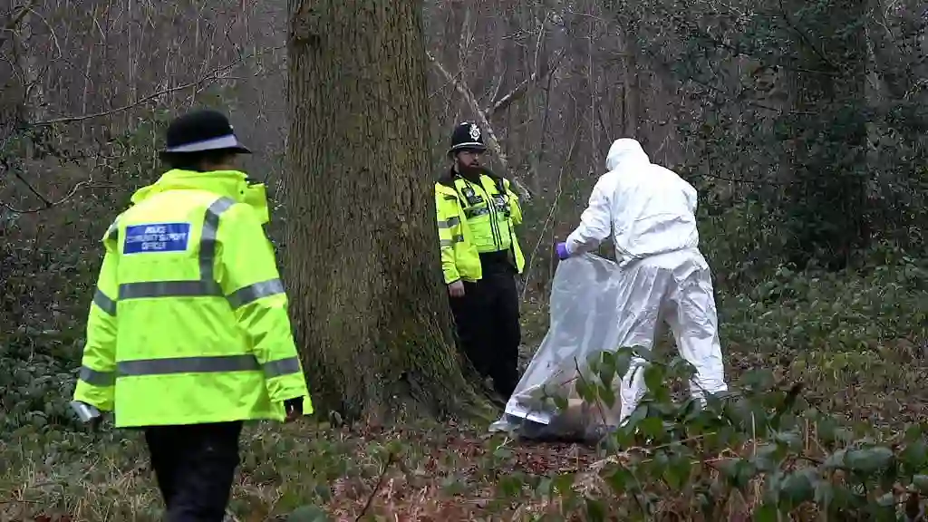 Police launch urgent manhunt as two men attack and rape woman in broad daylight at Alcott Woods near Chelmsley Wood