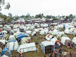 CAFOD Intensifies Humanitarian Efforts in Goma as Violence in Eastern DRC Forces Hundreds of Thousands to Flee