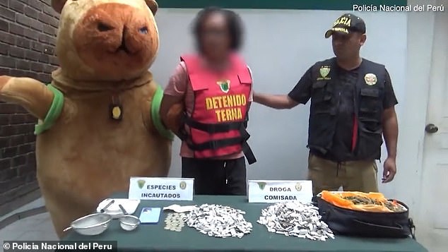 Valentine’s Day drug bust in Lima sees police officer disguised as capybara ambushing suspect and uncovering narcotics