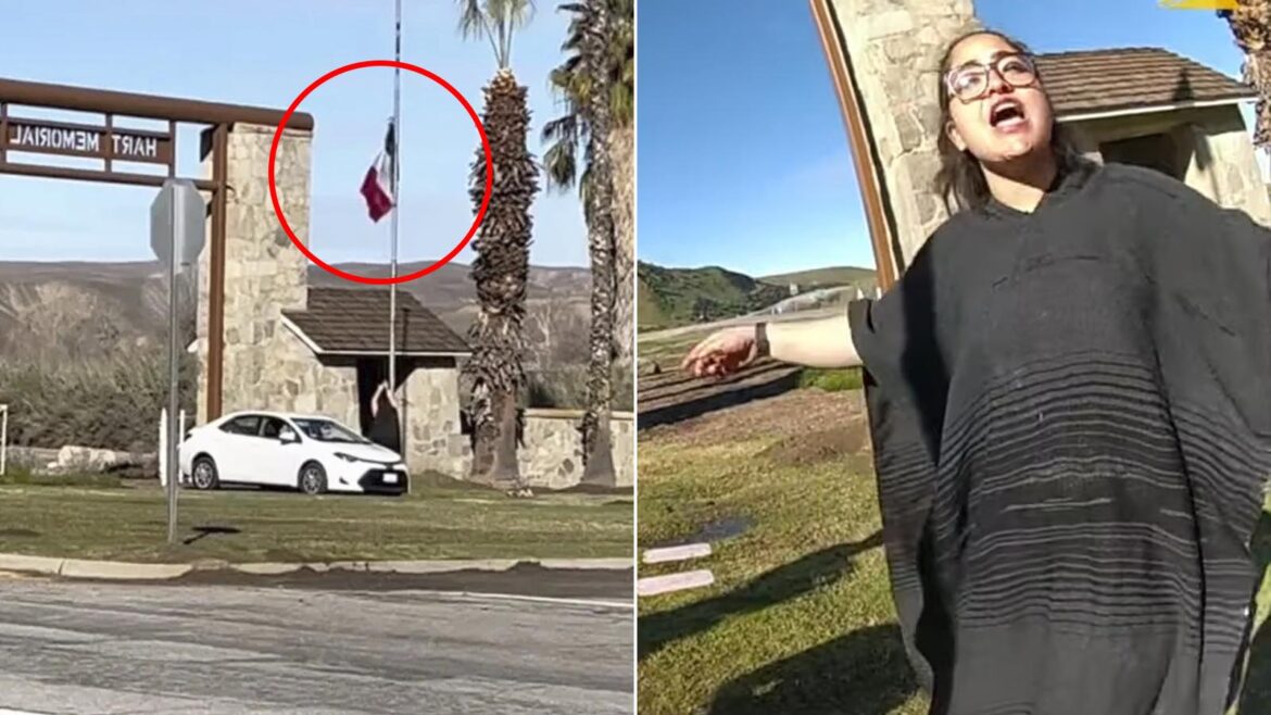 Immigration activist in California pulls down US flag and hoists Mexican one at local park while resisting arrest and making violent threats against officers