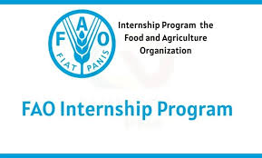 FAO Internship Program Offers Exciting Learning Opportunity for Young Talent to Contribute to Global Food Security Efforts with Stipend in Local Currency