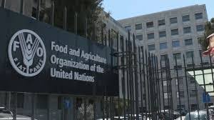 FAO Internship Programme Offers Young Professionals the Chance to Gain Practical Experience in Global Food Security Efforts Worldwide