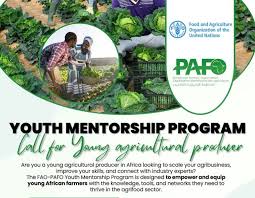 FAO and PAFO launch mentorship program to empower young agricultural professionals across Africa