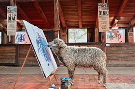 Farm Sanctuary SA offers massive reward as painting sheep Baanksy mysteriously disappears from Franschhoek animal rescue