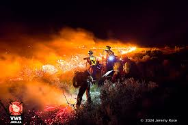 Firefighters Battle Escalating Wildfires in Table Mountain National Park as Flames Spread Towards Tafelberg Road