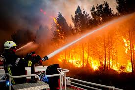 Firefighters battle raging wildfire as smoke forces closure of Tafelberg Road near Table Mountain