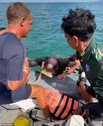 Italian Tourist Launches Profanity-Filled Tirade at Police After Being Caught Snorkeling in Protected Waters in Krabi, Thailand