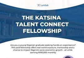 Katsina Talent Connect Fellowship Offers Young Graduates in Katsina State Paid Opportunities to Gain Real-World Experience and Boost Career Growth