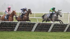 Nicky Henderson’s Mare Joyeuse Dominates £100,000 William Hill Handicap Hurdle at Newbury After Sir Gino’s Injury Prevents Race Entry