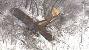 Small Plane Crashes into Trees in New Hampshire Leaving Pilot Injured After Skidding off the Runway at Hampton Airfield