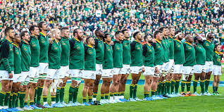 Springboks prepare to end 2025 Rugby Championship with a high-stakes battle against Argentina in London