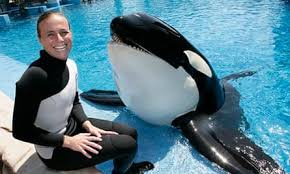 Tilikum’s Tragic Attack on Dawn Brancheau Shocks the World at SeaWorld Orlando in 2010