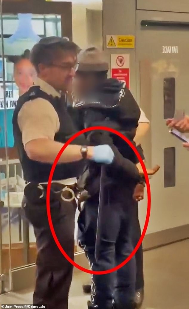 Police Arrest Youth in London Bridge After Seizing Two-Foot Sword From Him as Passersby Watch in Shock