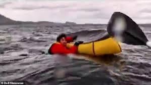 Young Kayaker Adrian Simancas Survives Miraculous Encounter with Humpback Whale in Punta Arenas Waters