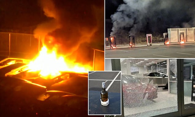 Anti-Musk demonstrators vandalize Tesla dealerships and set Cybertrucks on fire in Seattle as nationwide protests turn violent