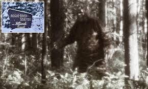 Camper Claims He Encountered a 15-Foot Sasquatch in Oregon’s Rogue National Forest During Solo Trip