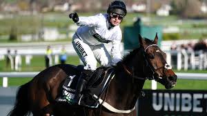 Constitution Hill prepares for highly anticipated return to Champion Hurdle at the Cheltenham Festival after missing last year’s race