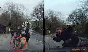 Dog Breaks Free and Attacks Three Horses in Oldham Causing Chaos on Busy Road