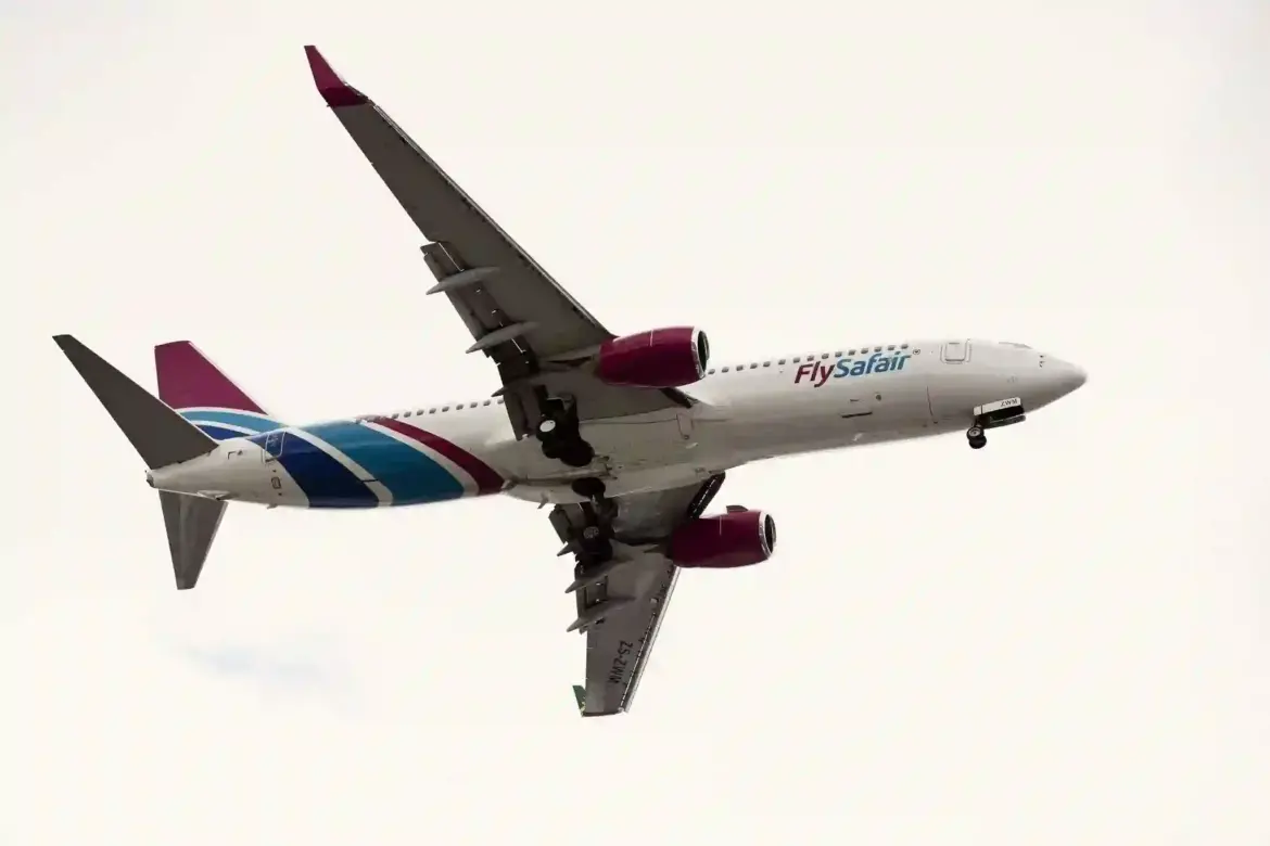 FlySafair and LIFT Airlines Passengers Experience Delays as Airports Company South Africa Fixes Check-In System Glitch at South African Airports