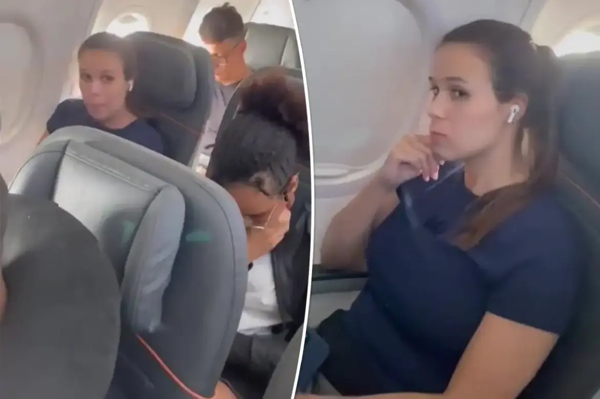 Brazilian woman’s battle against online harassment continues as she sues airline and fellow passenger over viral in-flight confrontation