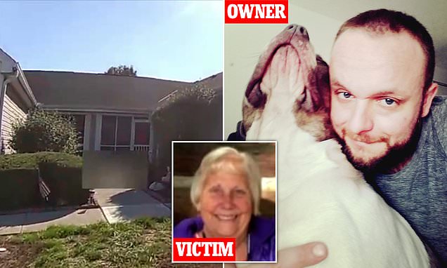 Ohio man’s pit bulls exposed to cocaine brutally maul elderly neighbor to death in her garden after authorities failed to remove them