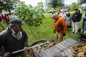Catholic Holocaust Education Center at Seton Hill University Plants Sapling from Anne Frank’s Tree to Honor Her Legacy in Pennsylvania