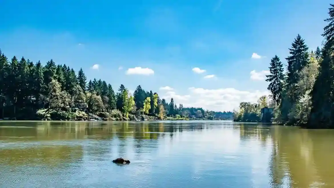 Authorities recover eight bodies from Oregon rivers as drowning and suicide cases rise during spring in Multnomah County