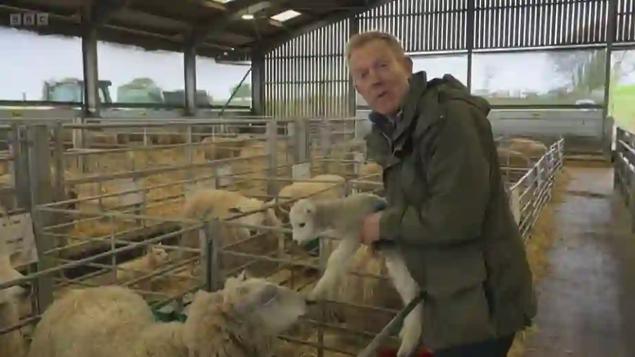 BBC Countryfile Faces Backlash After Lambing Special Leaves Viewers Unsettled