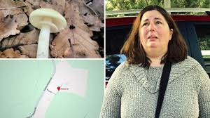 Erin Patterson Faces Court in Morwell