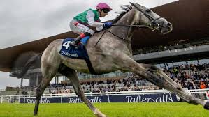 Field Of Gold Secures Thrilling Victory in the Irish 2,000 Guineas at the Curragh to Avenge Newmarket Disappointment